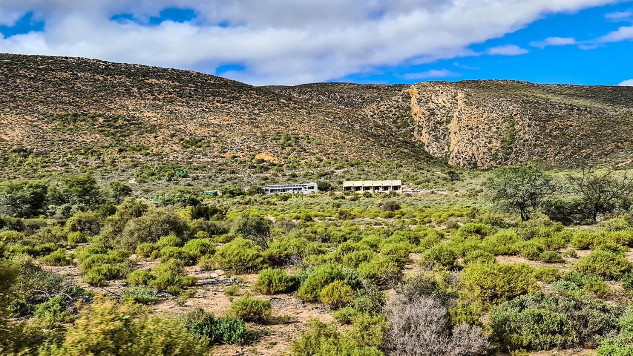 Rooiberg Wild Private Game Reserve Ледисмит Экстерьер фото