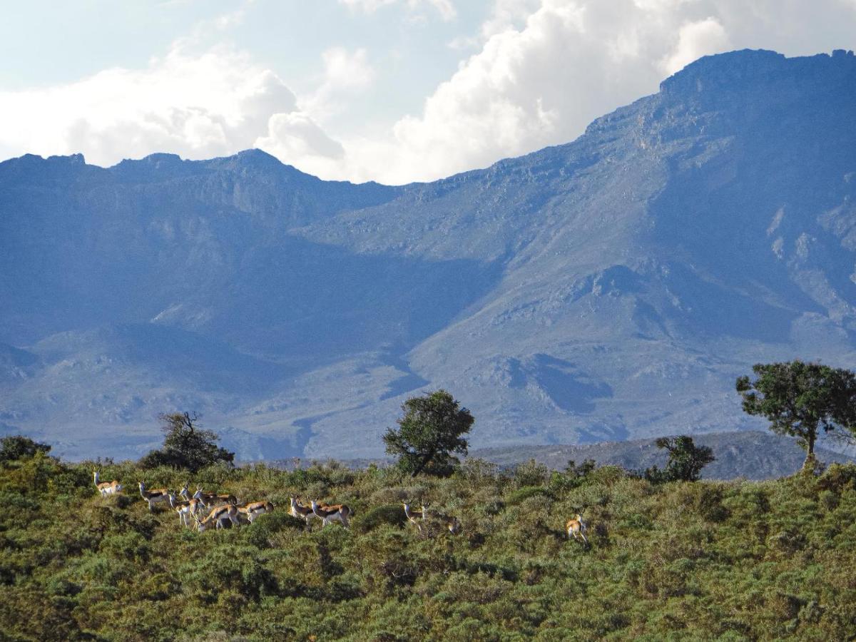 Rooiberg Wild Private Game Reserve Ледисмит Экстерьер фото